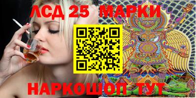 гидропоника Владимир